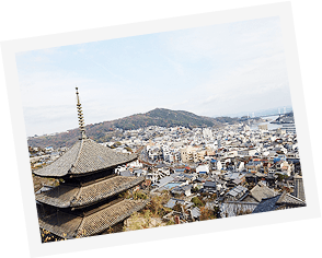 お寺から見た街の景色